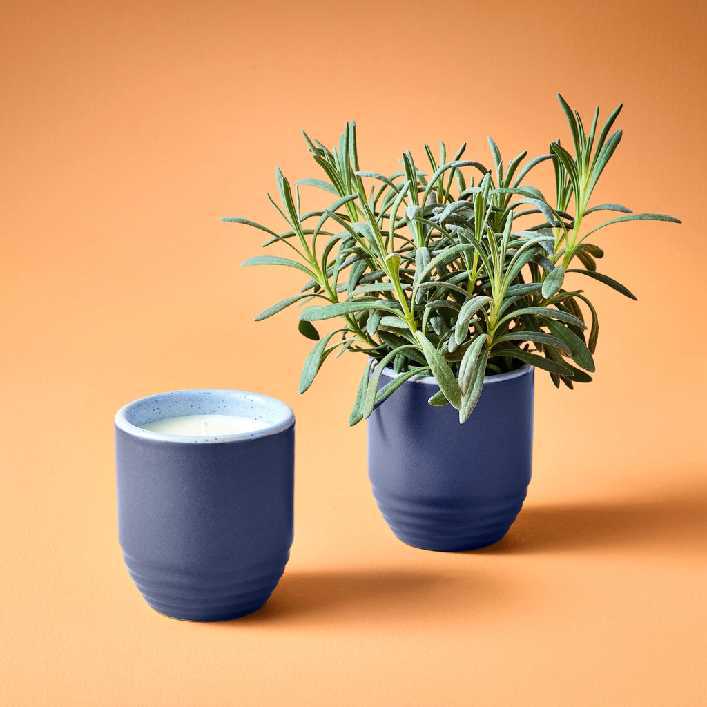 Garden Vibes Candle/Planter 2-in-1 - Cheeky Garden
