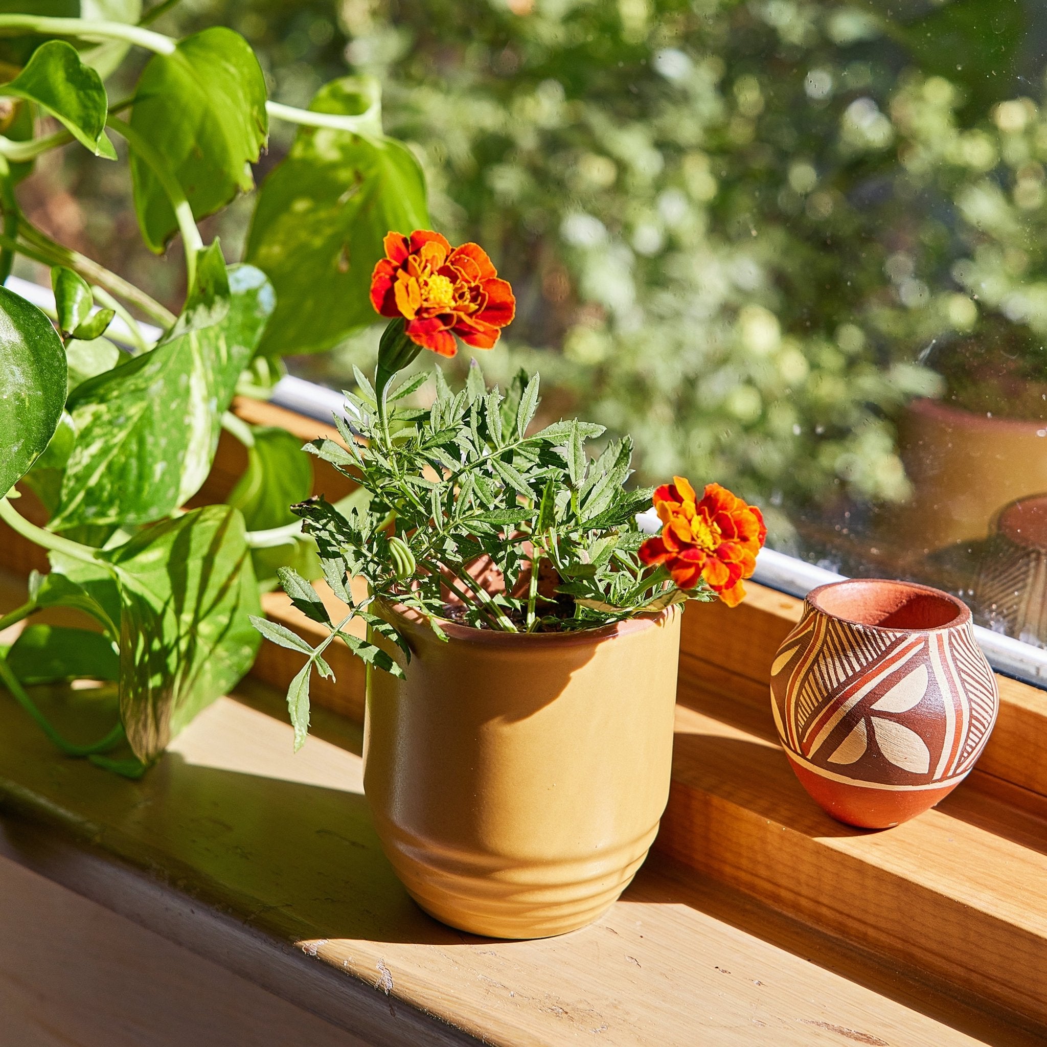 Garden Vibes Candle/Planter 2-in-1 - Cheeky Garden