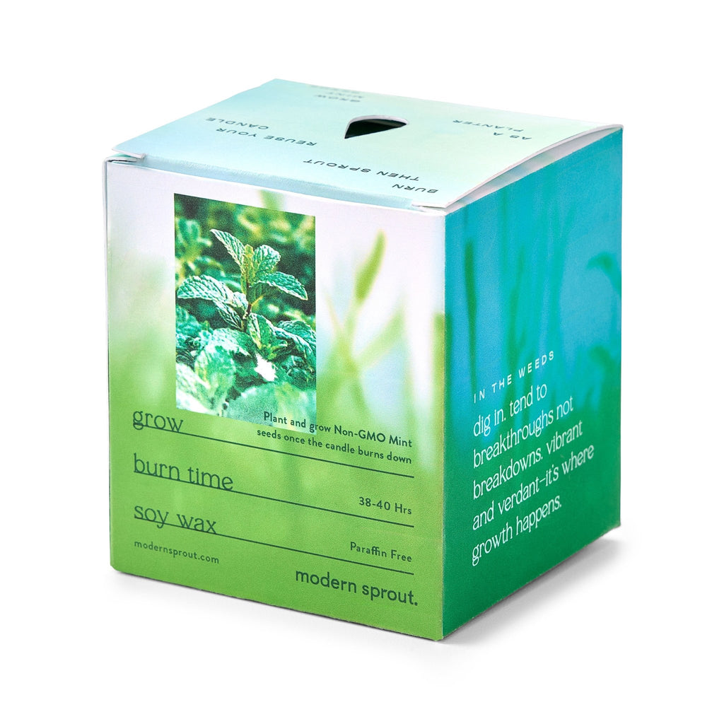 Garden Vibes Candle/Planter 2-in-1 - Cheeky Garden