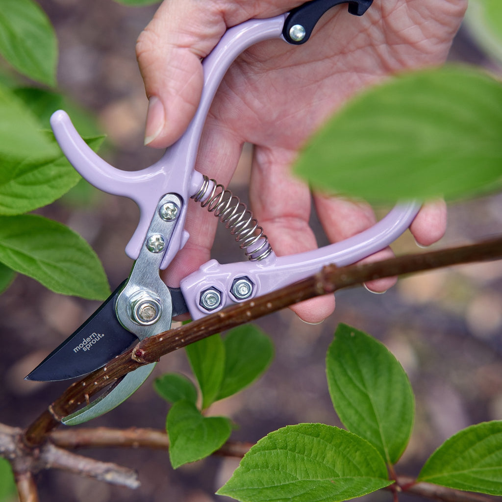 Gardening Shears & Pruners - Cheeky Garden