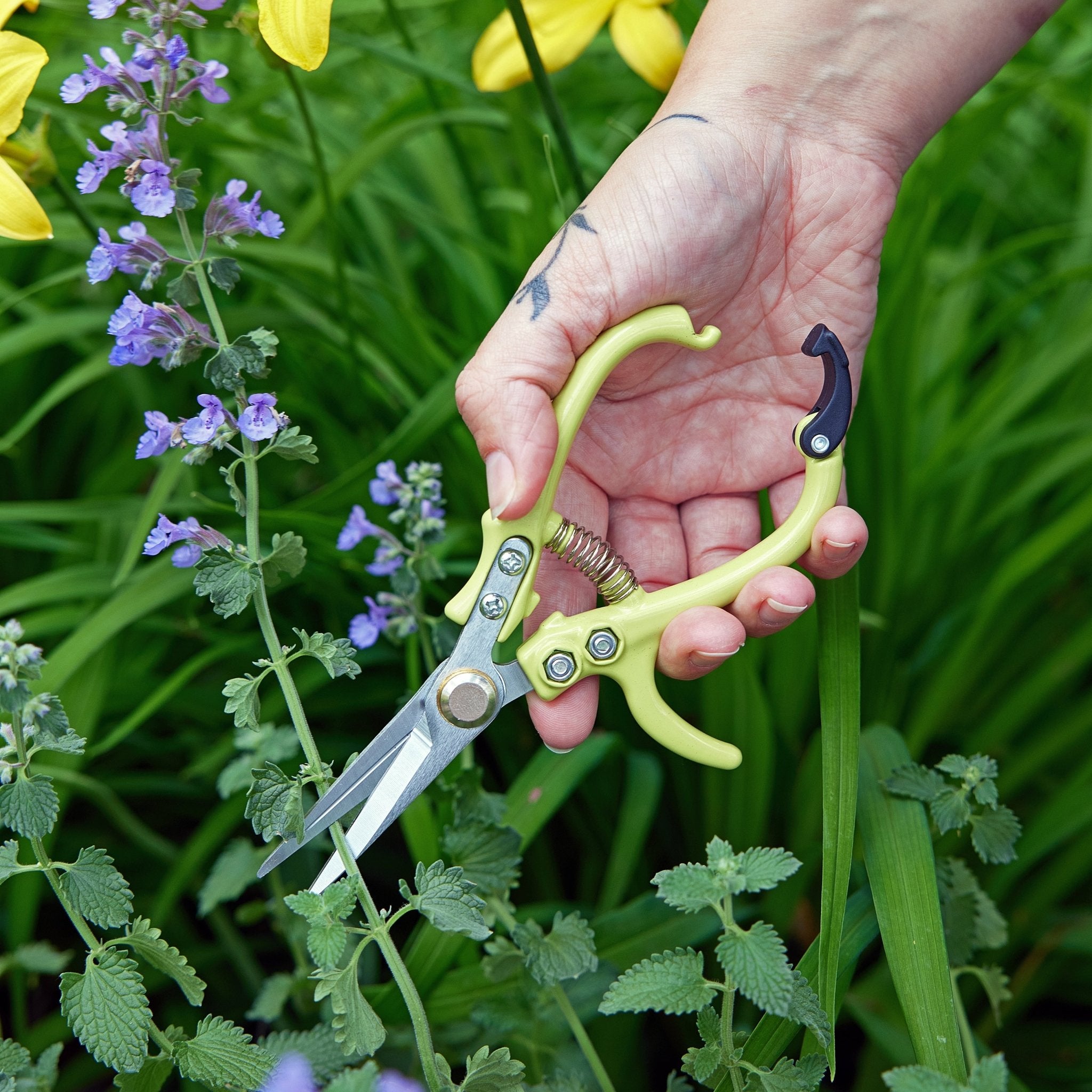 Gardening Shears & Pruners - Cheeky Garden