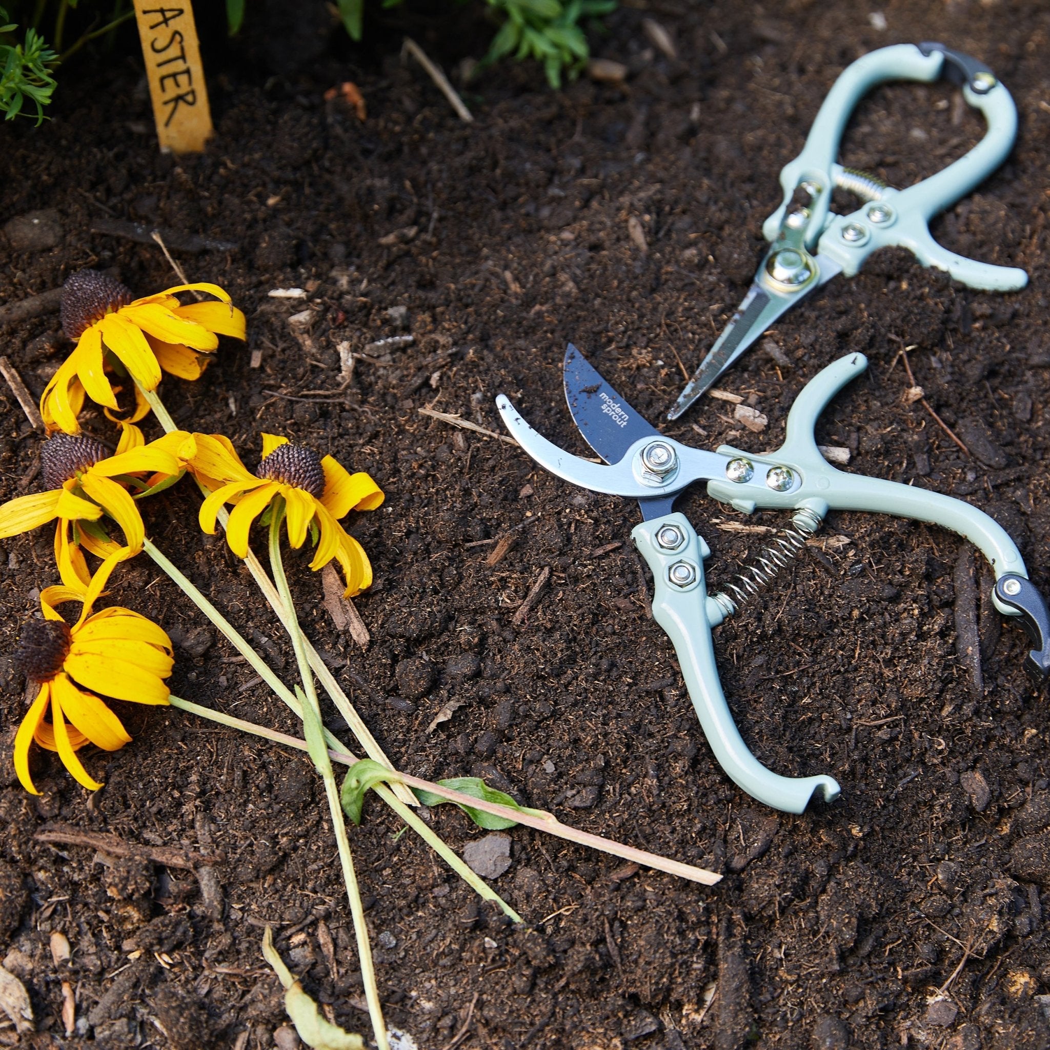 Gardening Shears & Pruners - Cheeky Garden