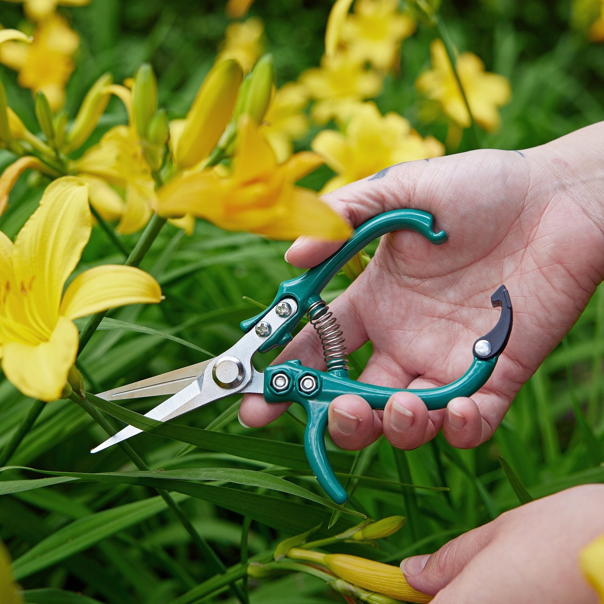 Gardening Shears & Pruners - Cheeky Garden