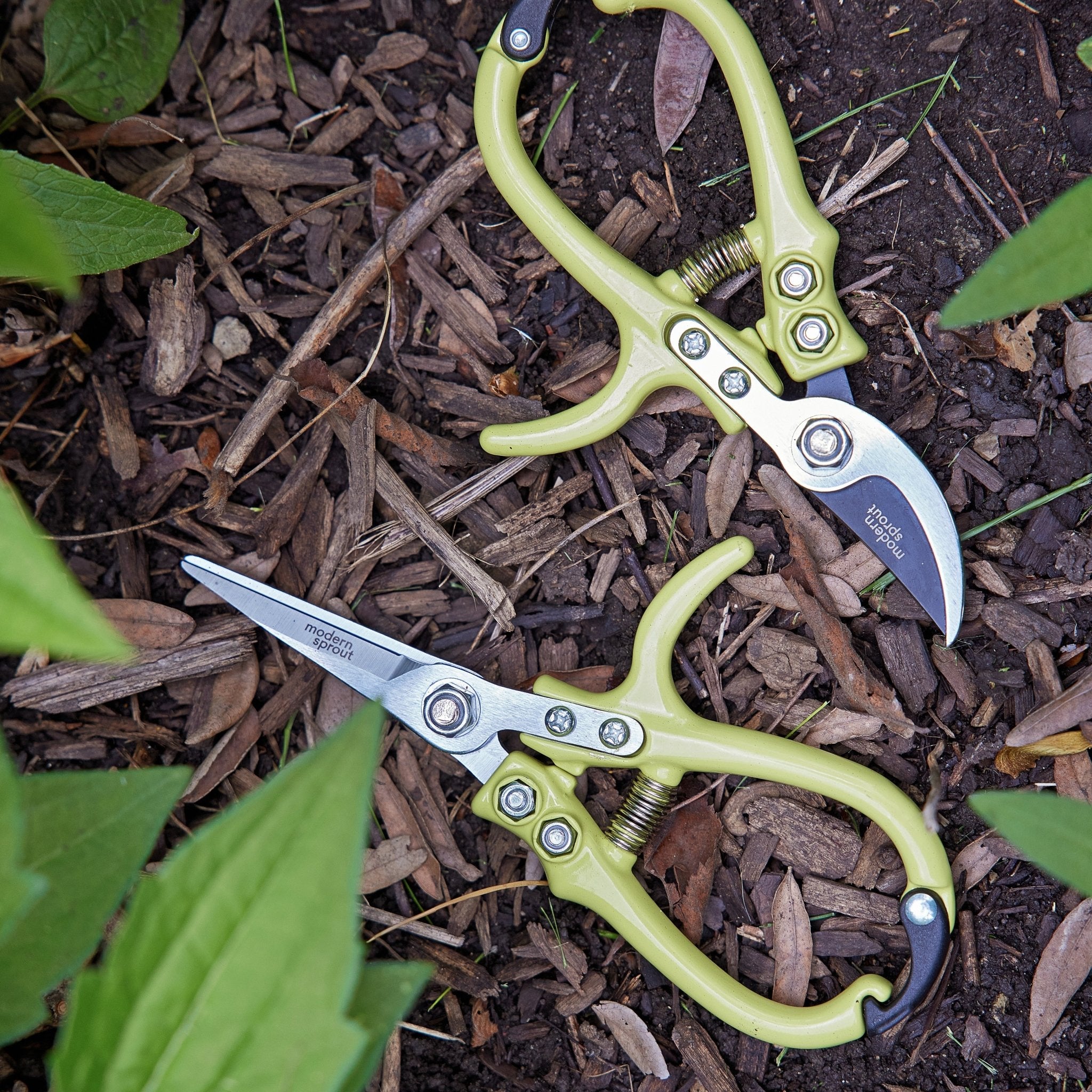 Gardening Shears & Pruners - Cheeky Garden
