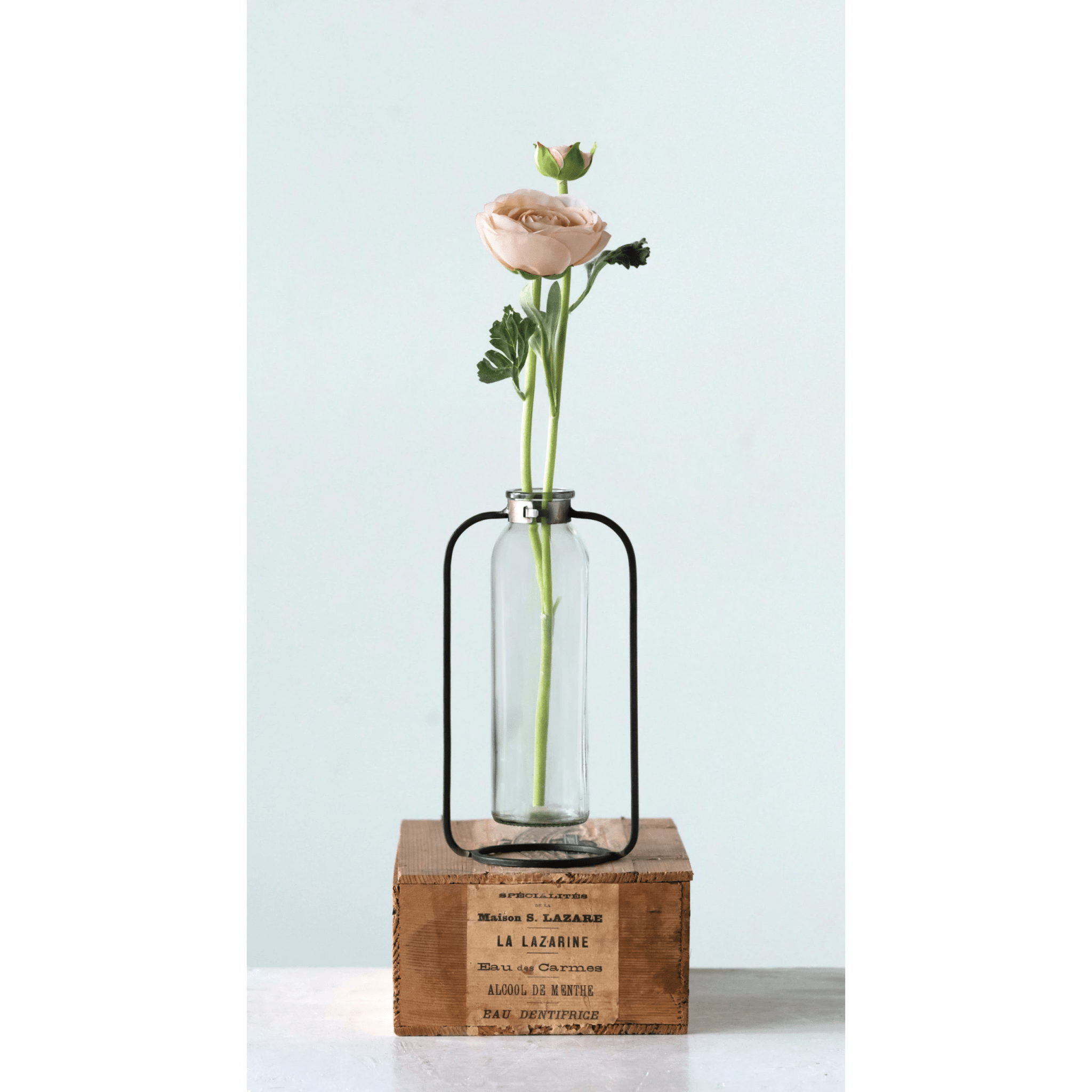 Glass Bud Vase in Metal Stand - Cheeky Garden