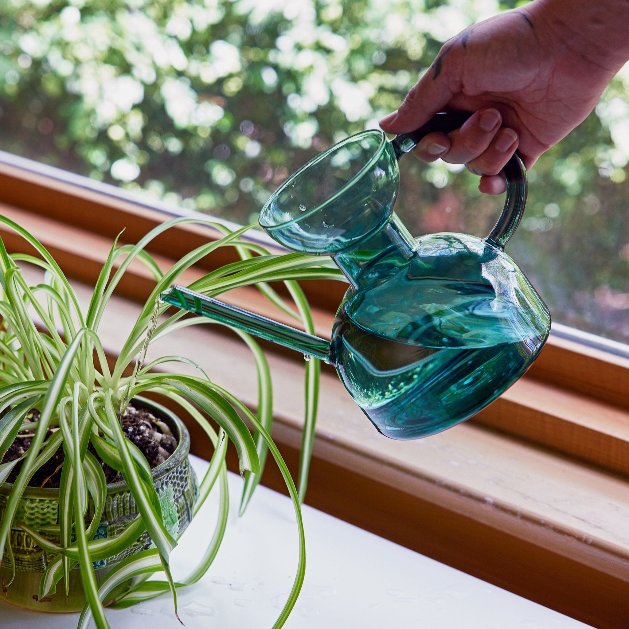 Glass Watering Can - Cheeky Garden