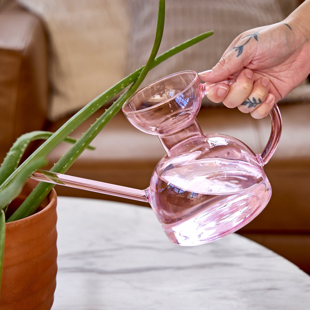 Glass Watering Can - Cheeky Garden