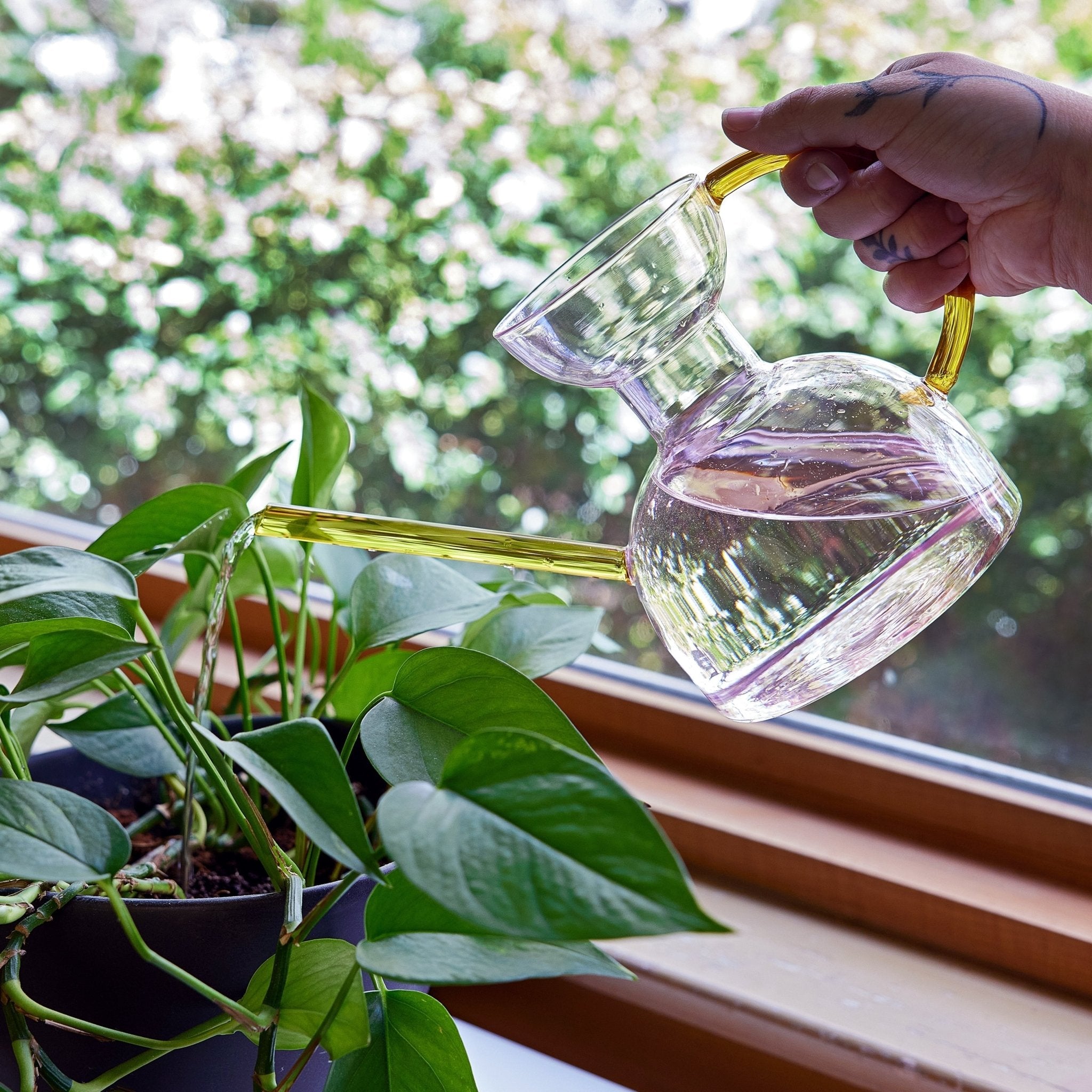 Glass Watering Can - Cheeky Garden