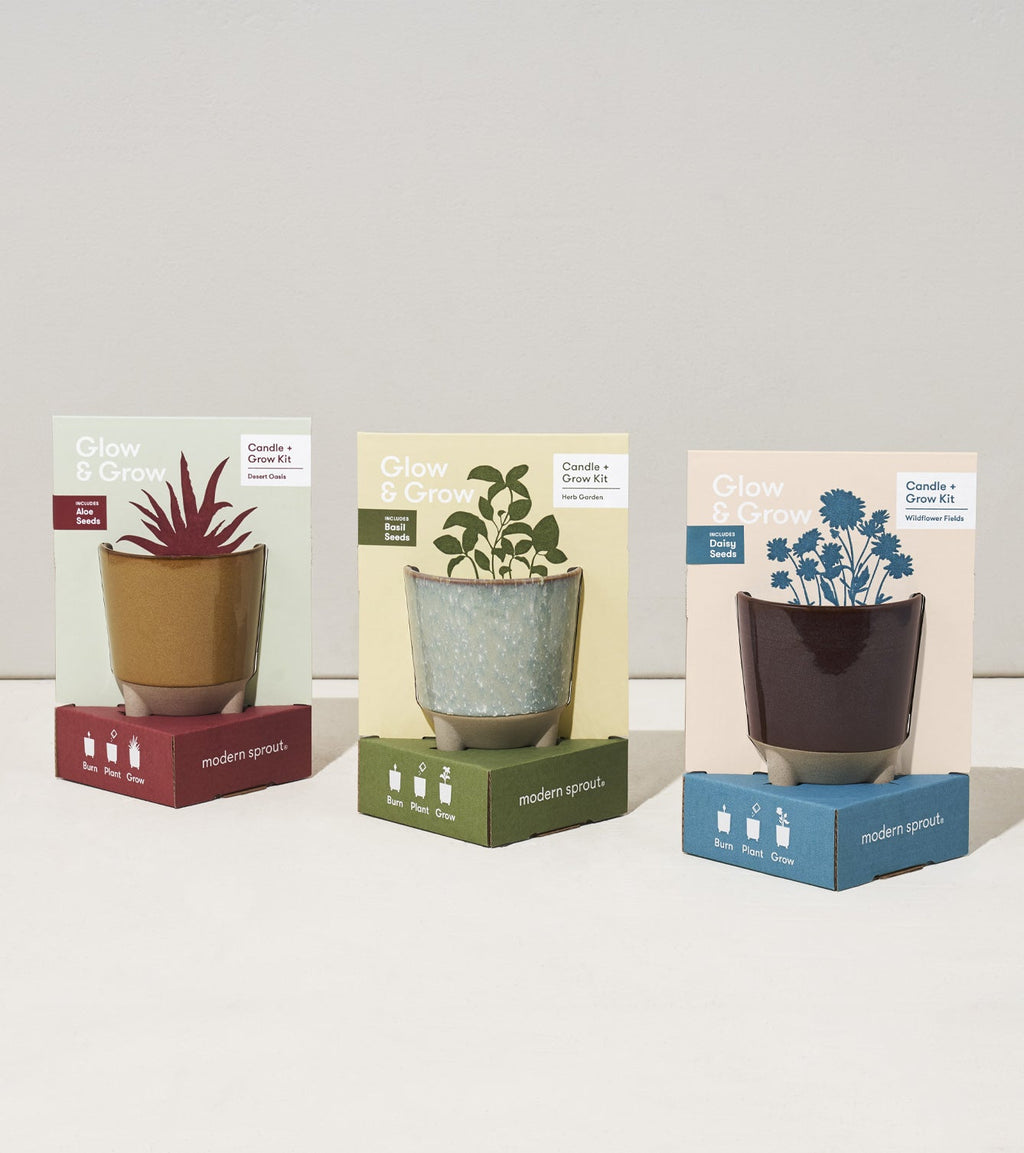 Glow & Grow Kits - Cheeky Garden