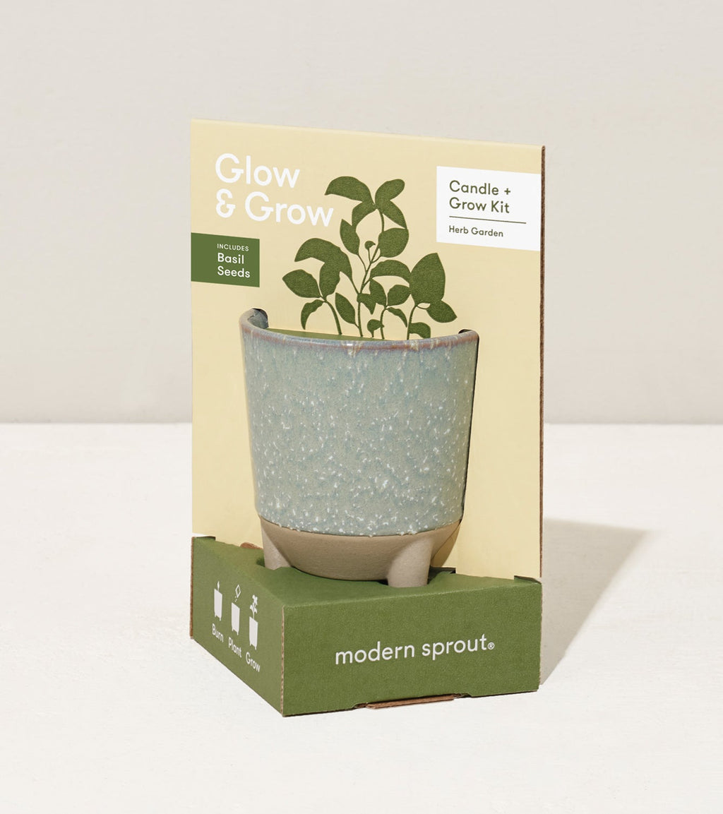 Glow & Grow Kits - Cheeky Garden