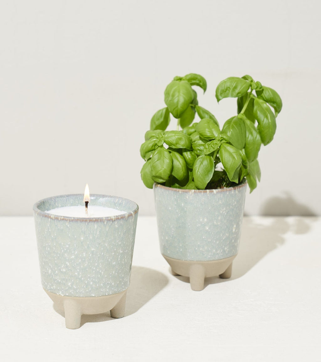 Glow & Grow Kits - Cheeky Garden