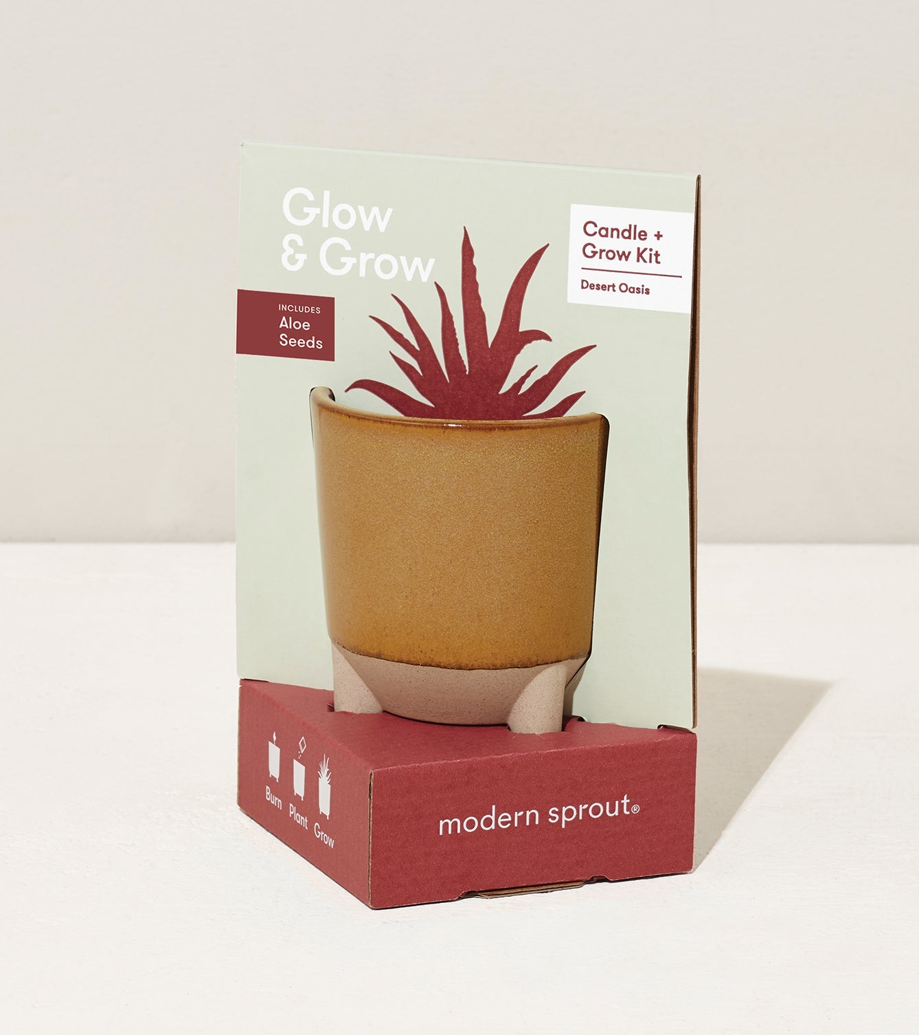 Glow & Grow Kits - Cheeky Garden