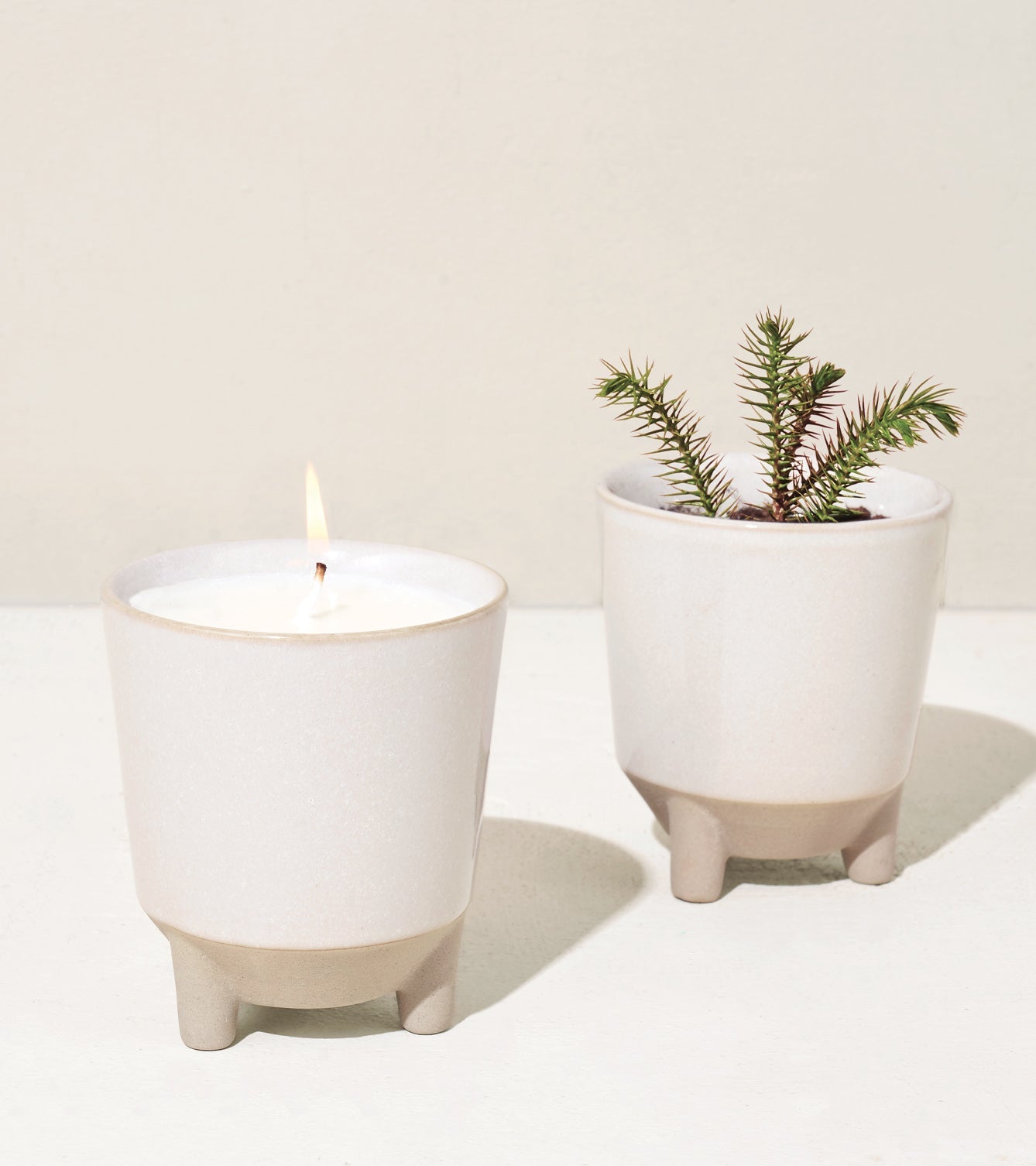 Glow & Grow Kits - Cheeky Garden
