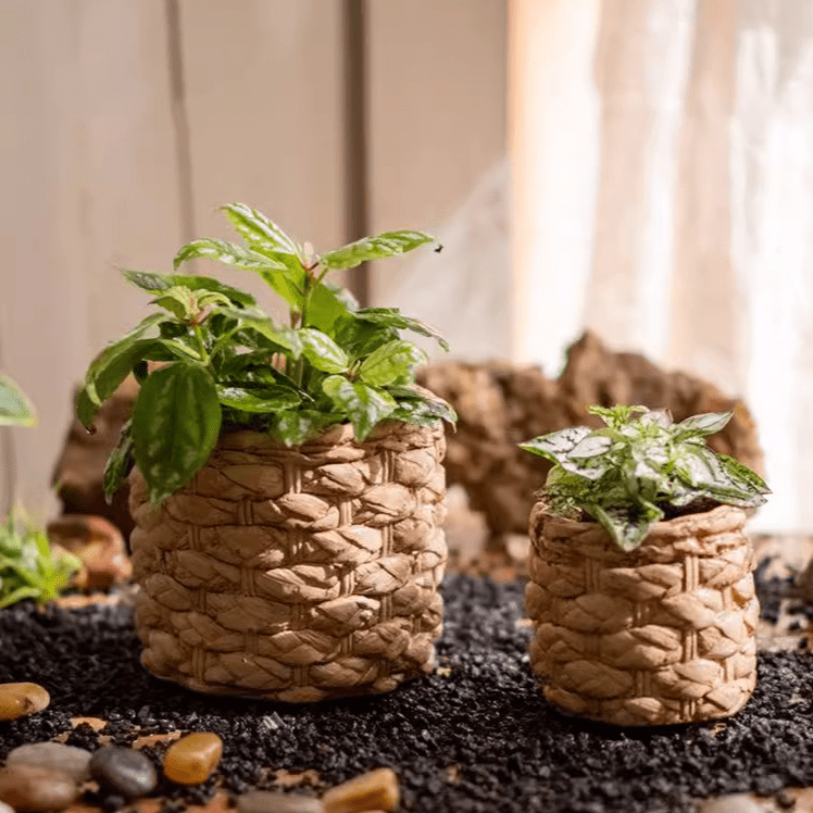 Grass Woven Looking Cement Planter - Cheeky Garden