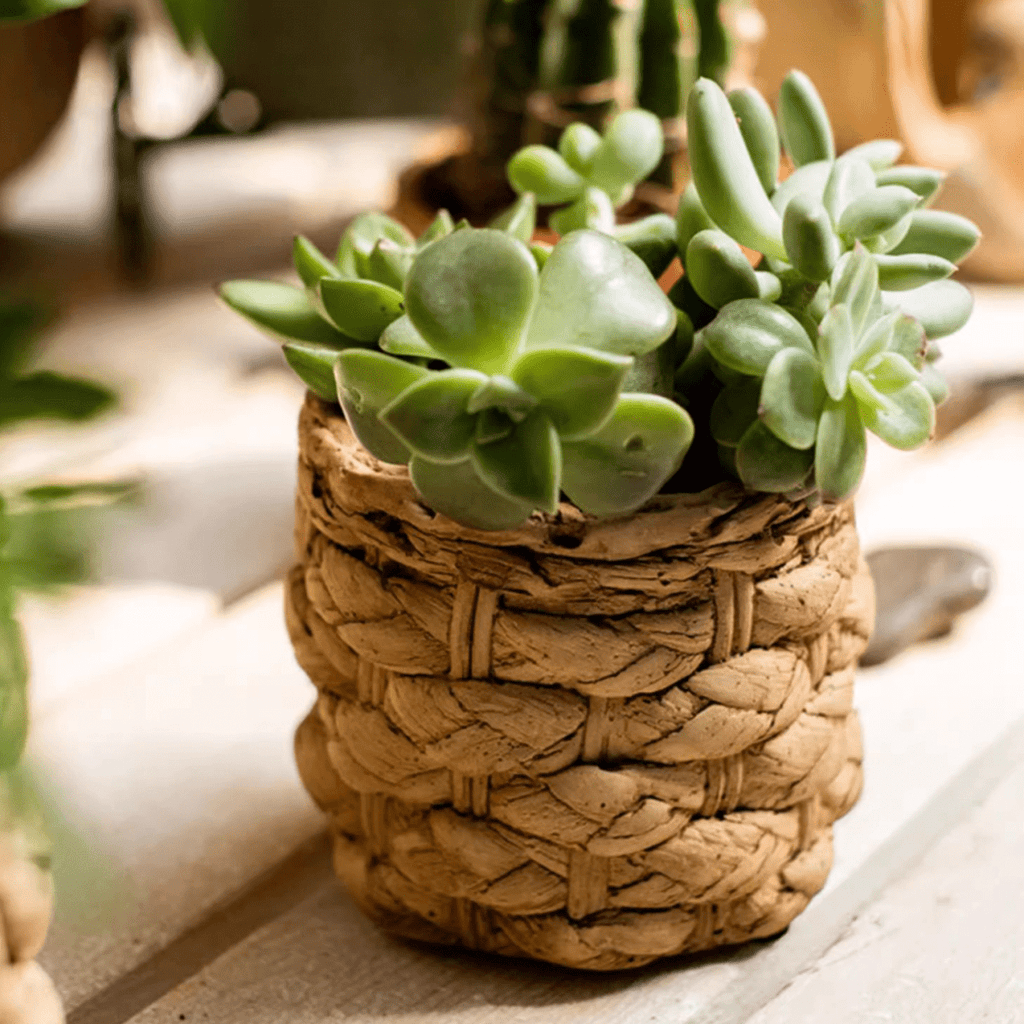 Grass Woven Looking Cement Planter - Cheeky Garden