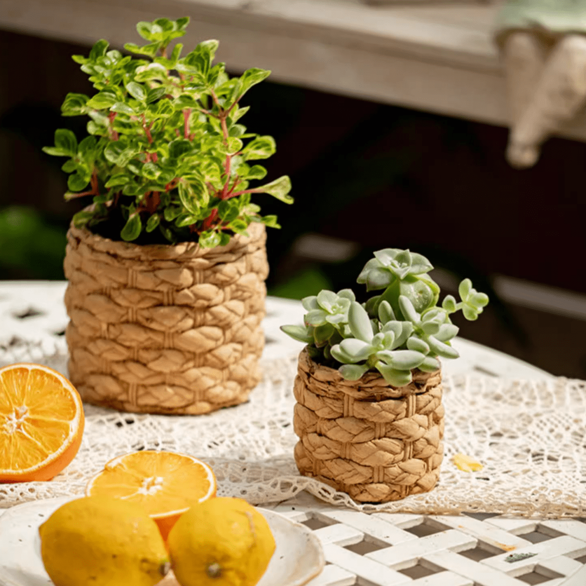 Grass Woven Looking Cement Planter - Cheeky Garden