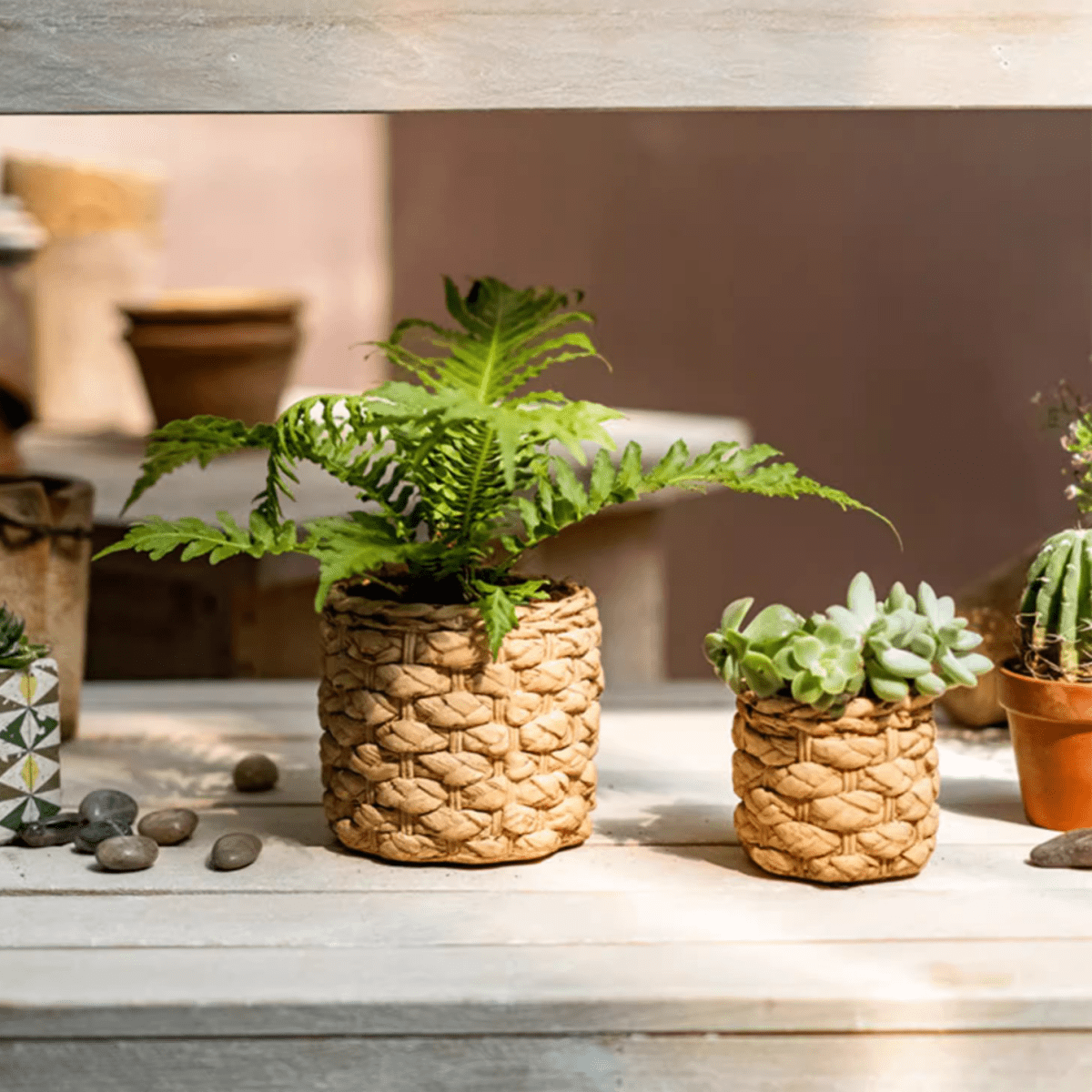 Grass Woven Looking Cement Planter - Cheeky Garden