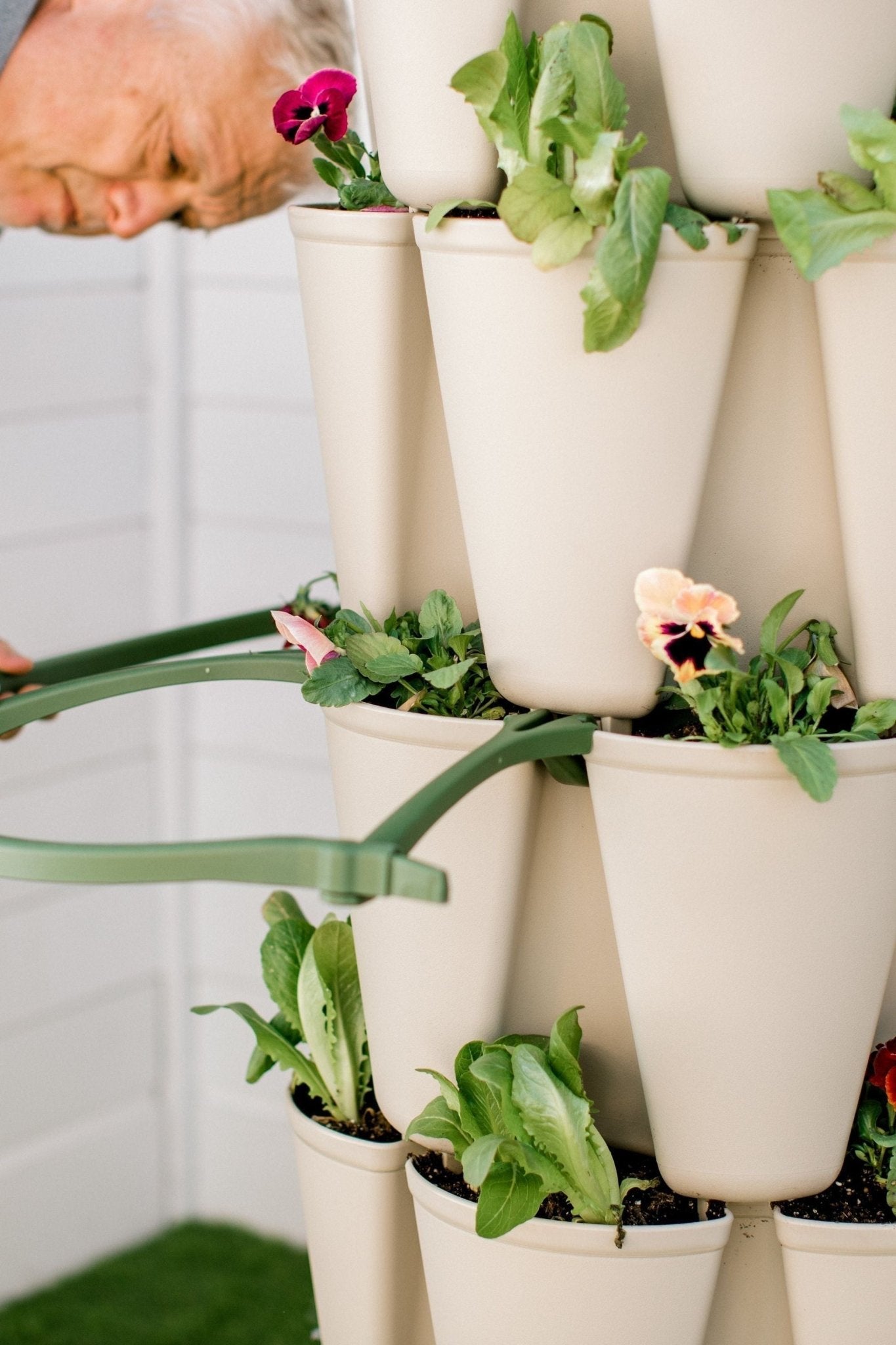 GreenStalk Garden Plant Support (Set of 3) - Cheeky Garden