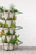 GreenStalk Garden Plant Support (Set of 3) - Cheeky Garden