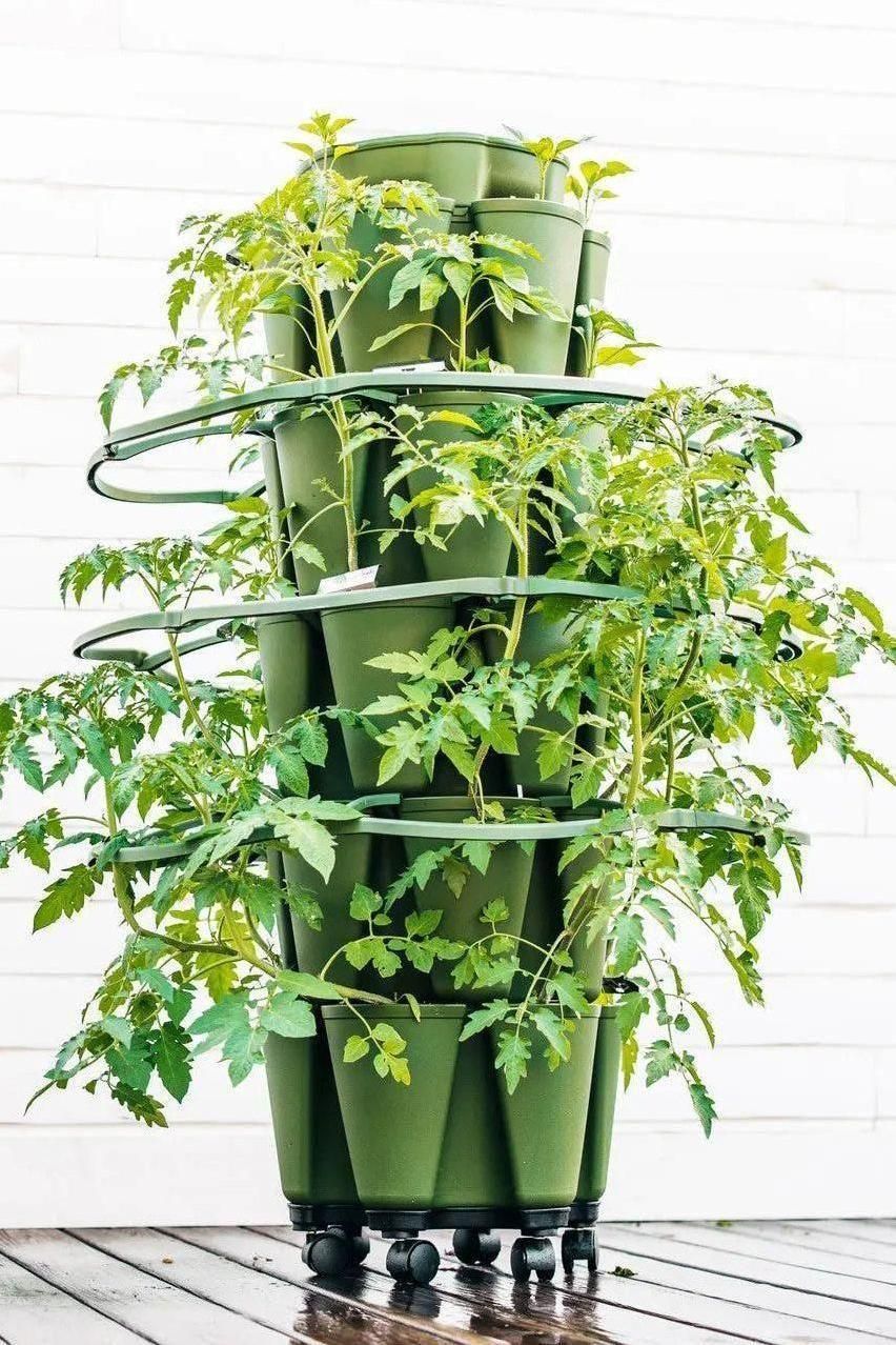 GreenStalk Garden Plant Support (Set of 3) - Cheeky Garden