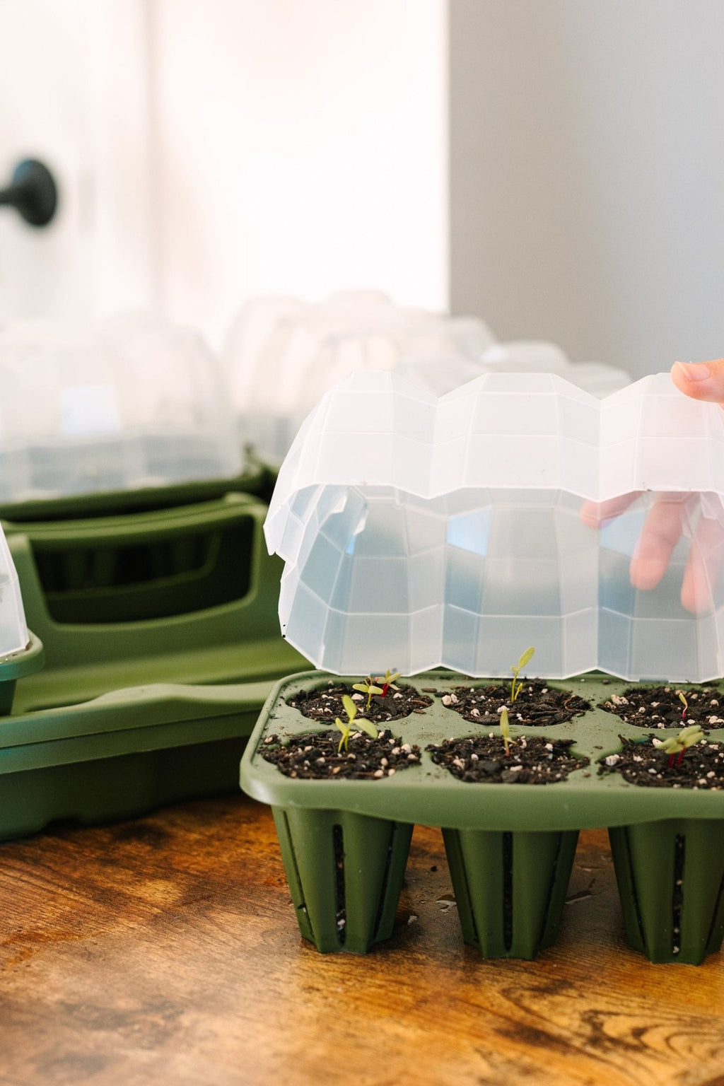 GreenStalk Garden Seed Starter Kit with Domes - Cheeky Garden