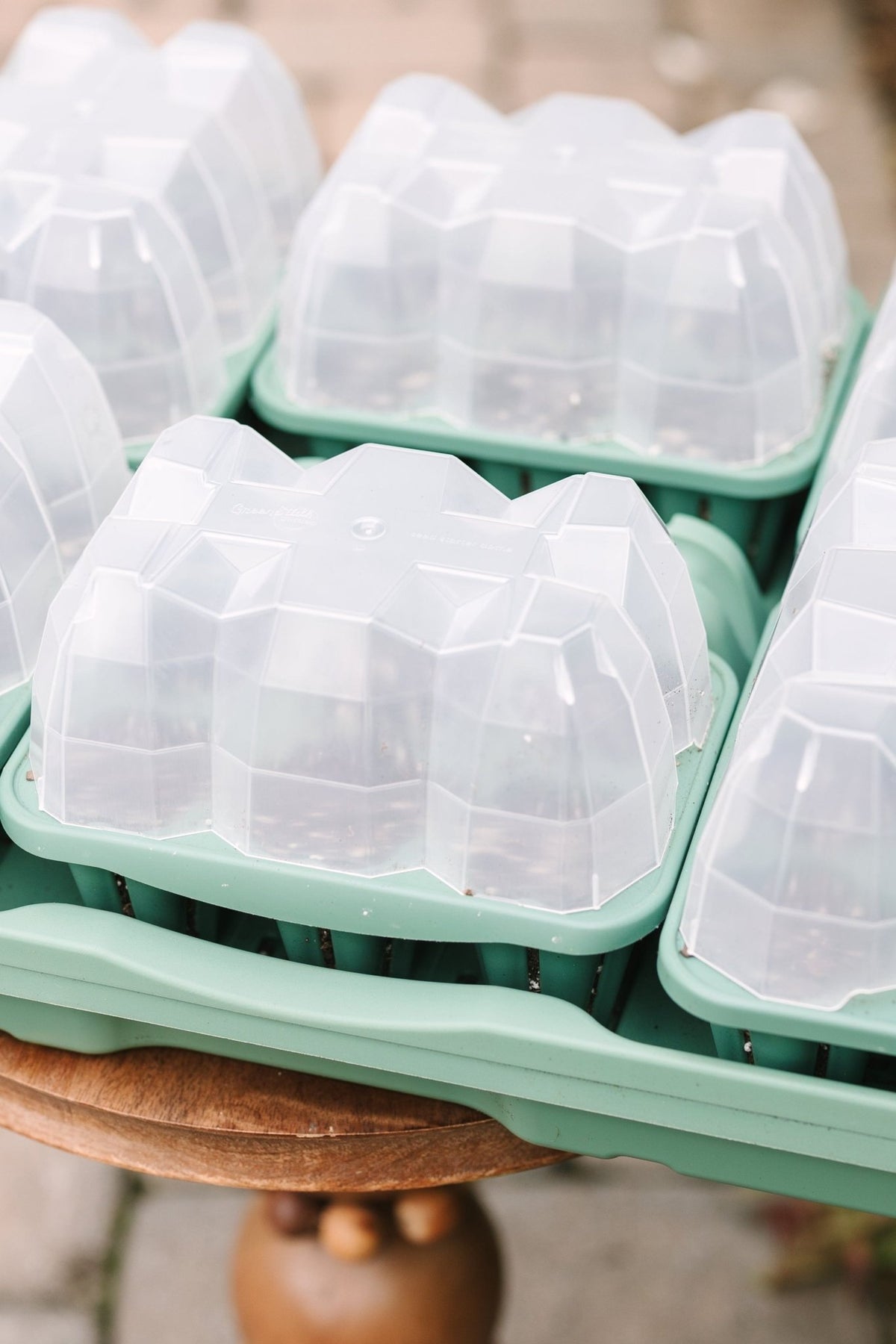 GreenStalk Garden Seed Starter Kit with Domes - Cheeky Garden