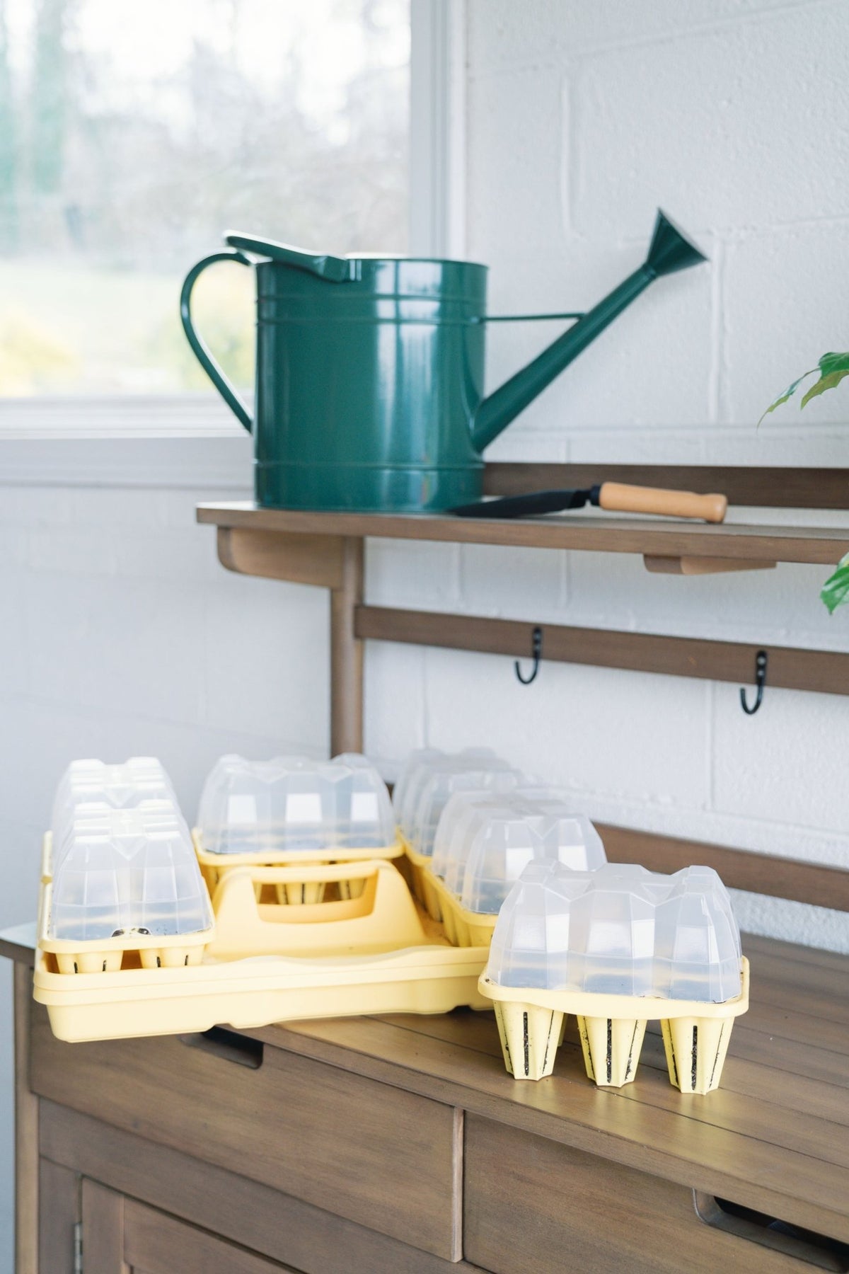 GreenStalk Garden Seed Starter Kit with Domes - Cheeky Garden