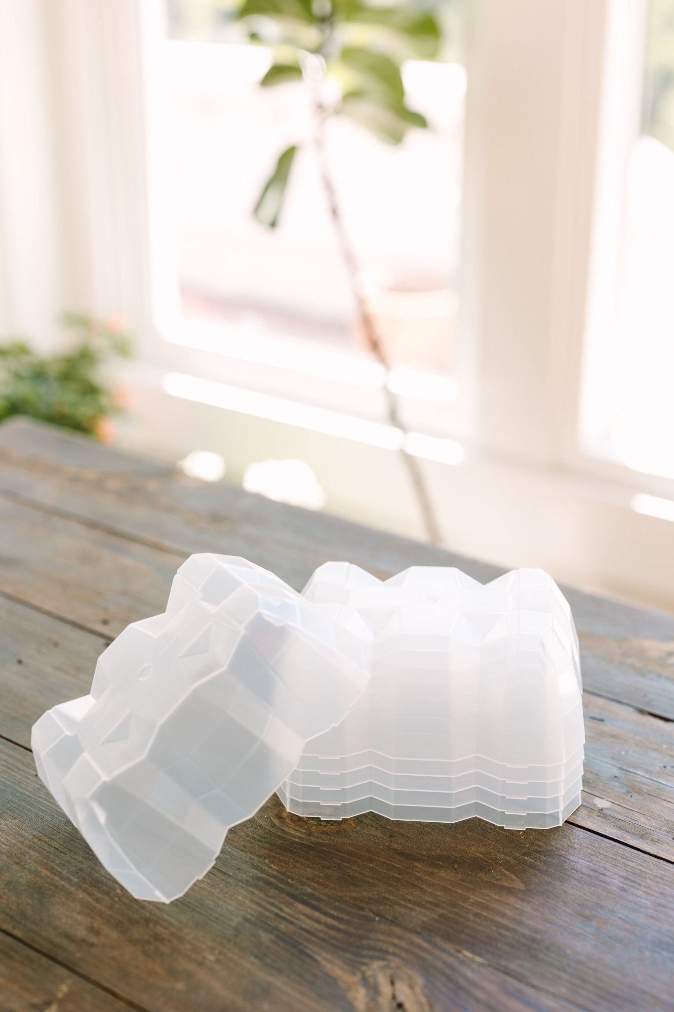 GreenStalk Garden Seed Starter Kit with Domes - Cheeky Garden