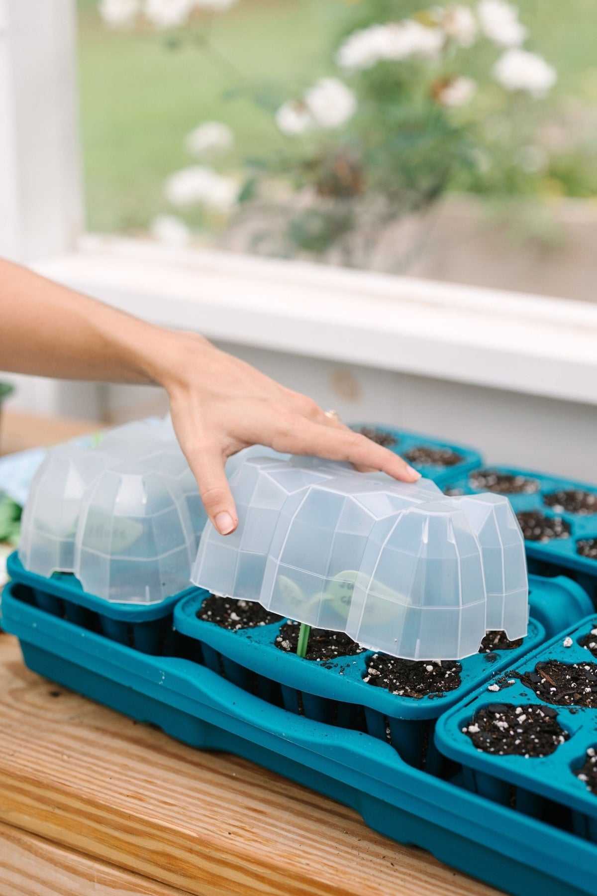 GreenStalk Garden Seed Starter Kit with Domes - Cheeky Garden