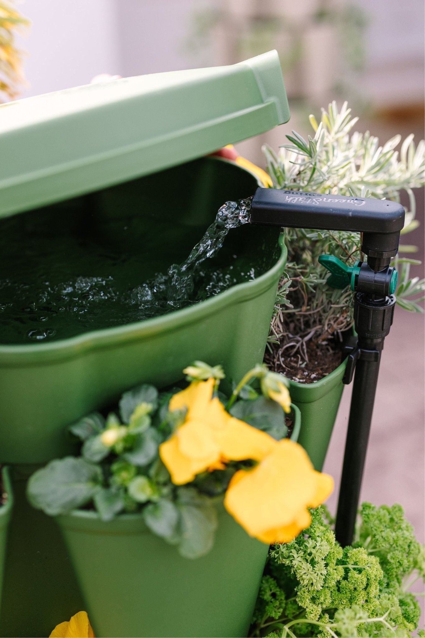 GreenStalk Garden Spring - Watering System - Cheeky Garden