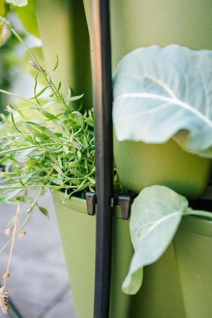 GreenStalk Garden Spring - Watering System - Cheeky Garden