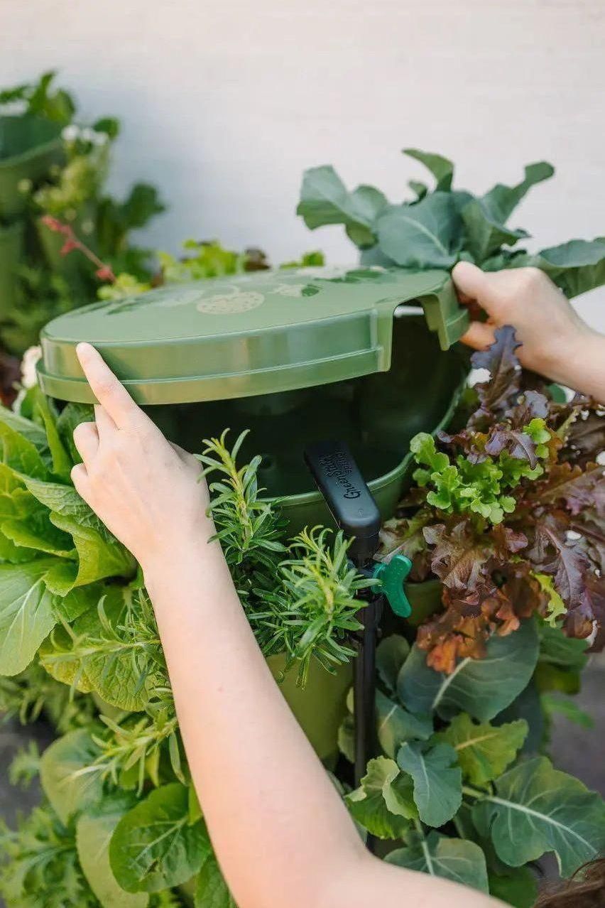 GreenStalk Garden Spring - Watering System - Cheeky Garden