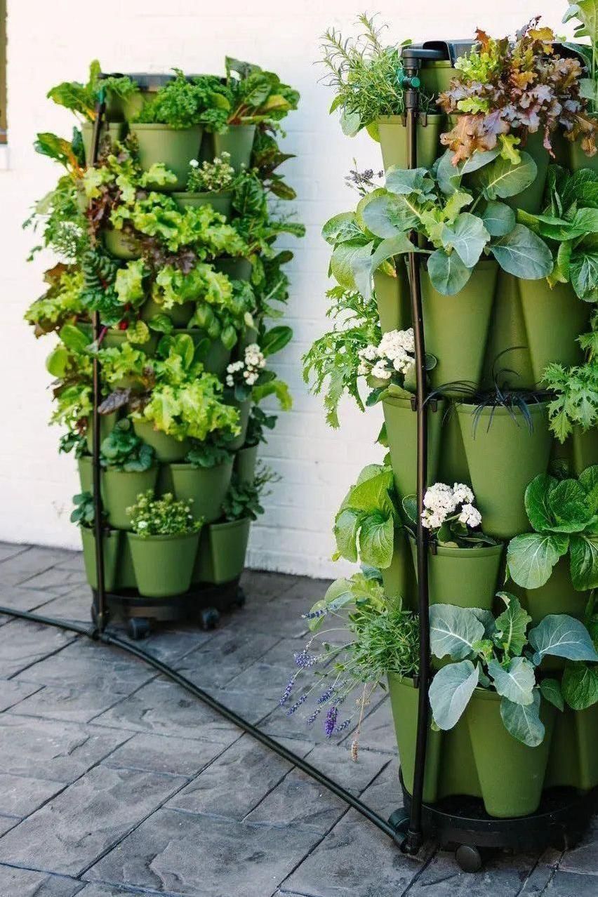GreenStalk Garden Spring - Watering System - Cheeky Garden