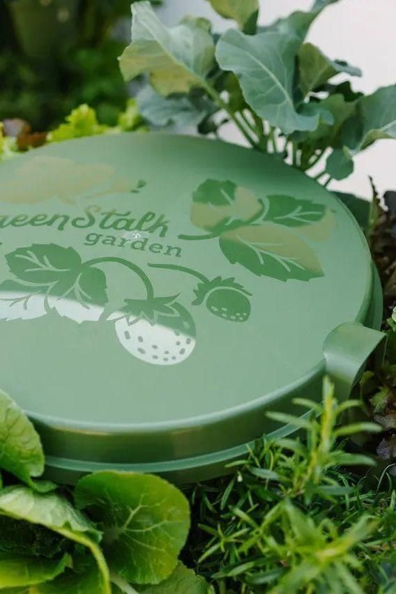 GreenStalk Garden Spring - Watering System - Cheeky Garden