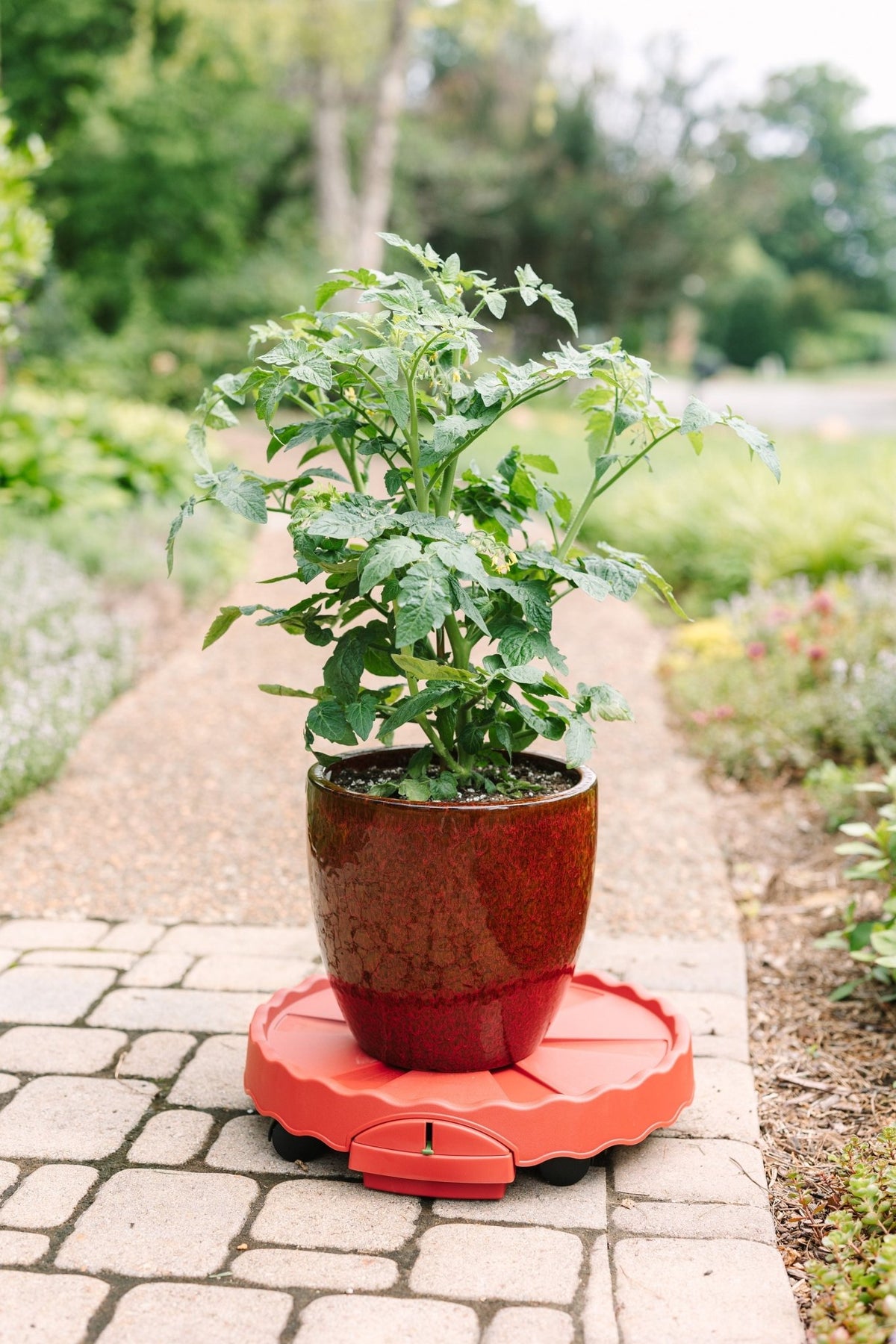 GreenStalk Garden Ultimate Mover - Cheeky Garden