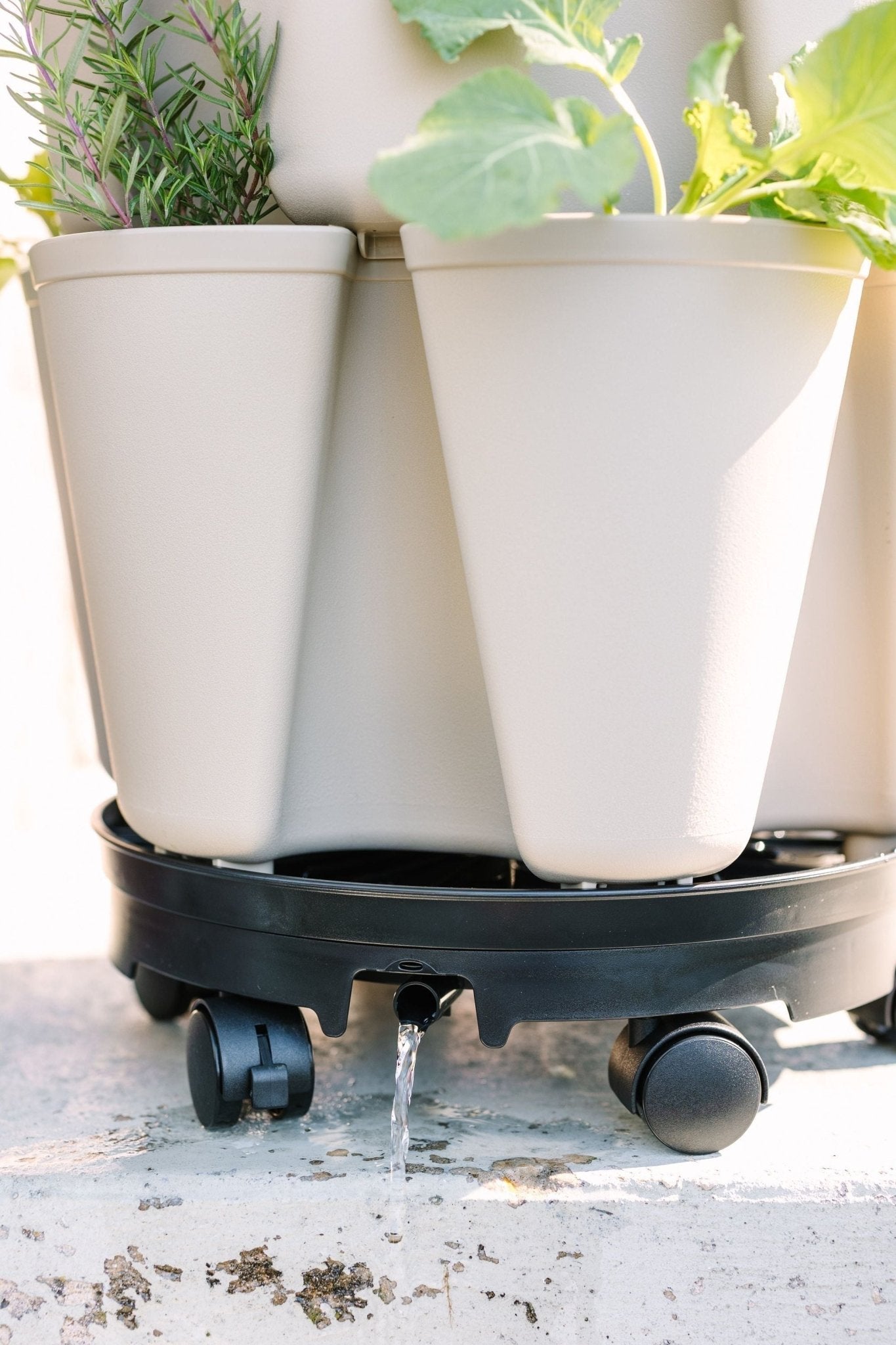 GreenStalk Garden Ultimate Spinner With Wheel Kit - Cheeky Garden