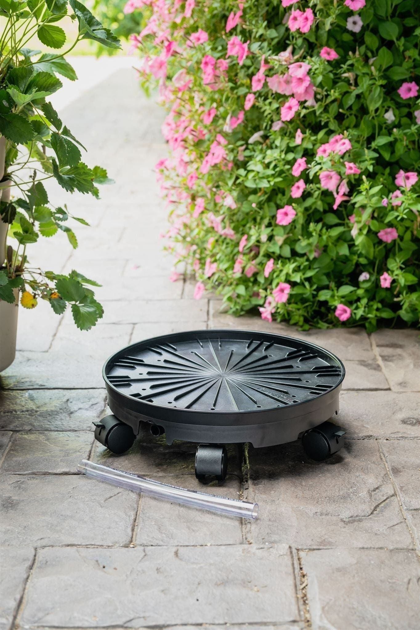 GreenStalk Garden Ultimate Spinner With Wheel Kit - Cheeky Garden