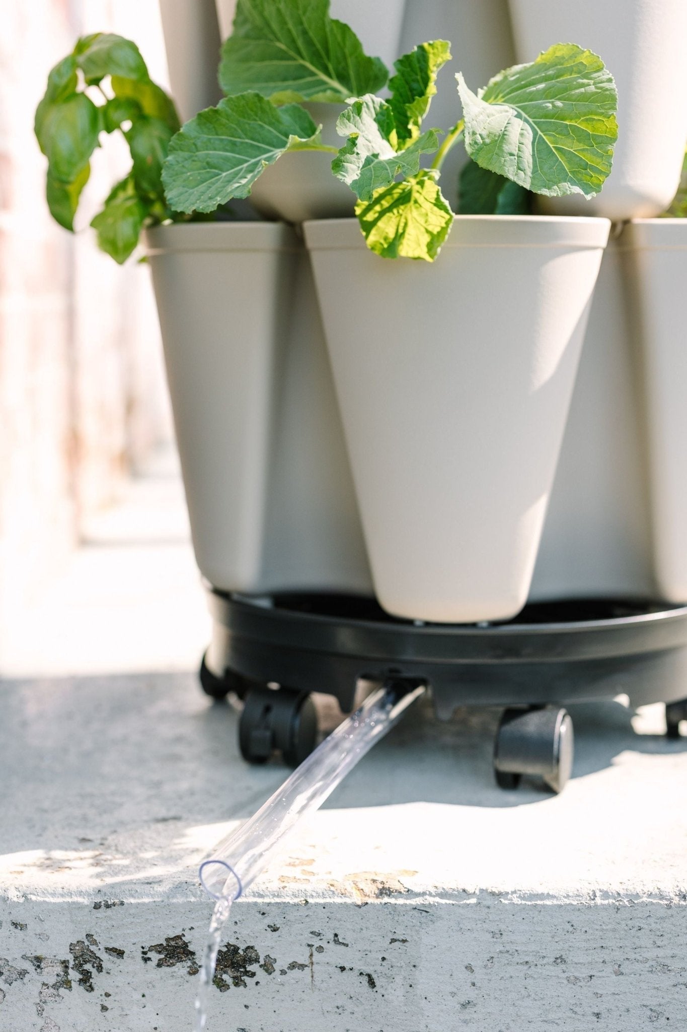 GreenStalk Garden Ultimate Spinner With Wheel Kit - Cheeky Garden