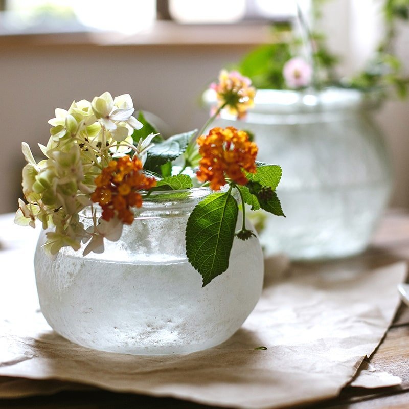 Hand Blown Glass Foggy Glass Vase - Cheeky Garden