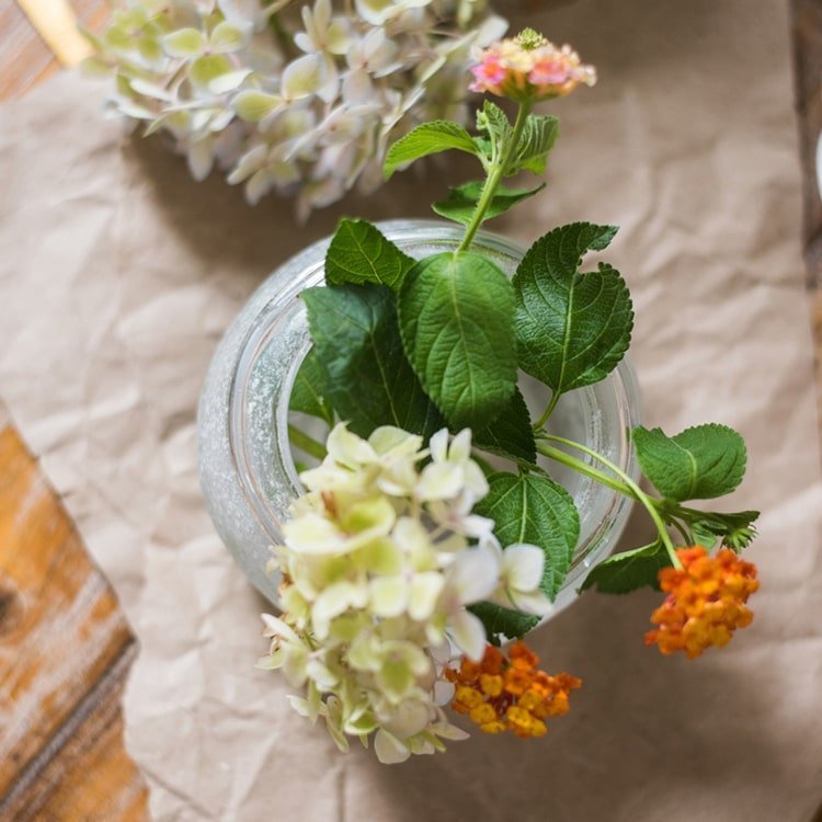 Hand Blown Glass Foggy Glass Vase - Cheeky Garden