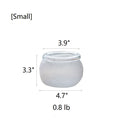 Hand Blown Glass Foggy Glass Vase - Cheeky Garden