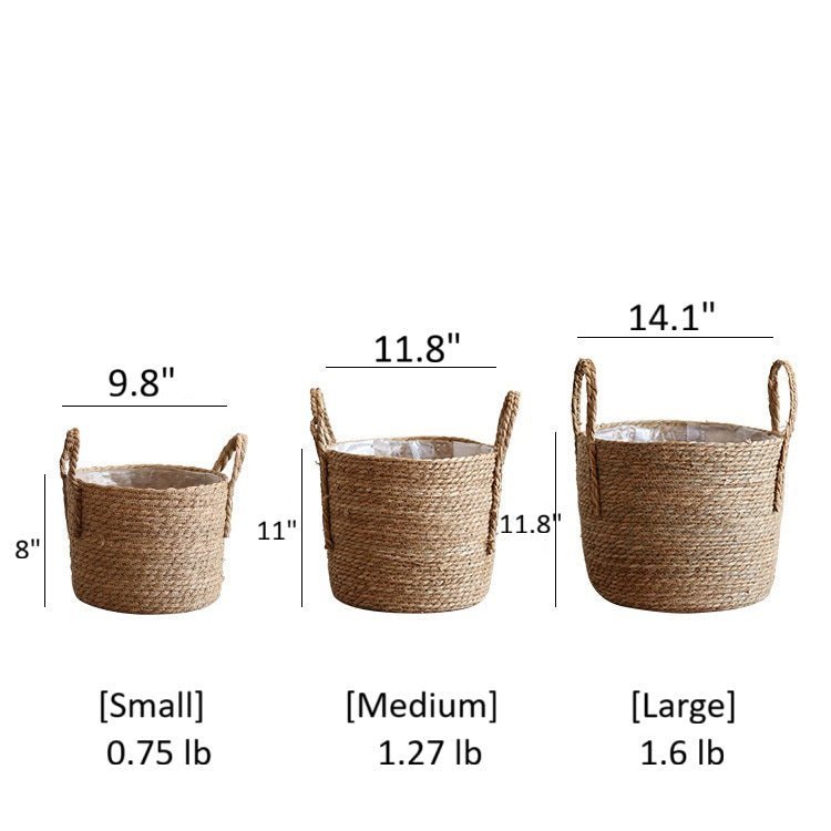 Handwoven Seagrass Basket for Plants - Cheeky Garden