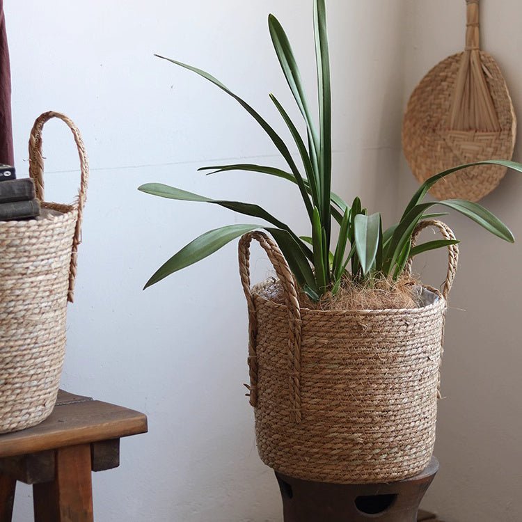Handwoven Seagrass Basket for Plants - Cheeky Garden