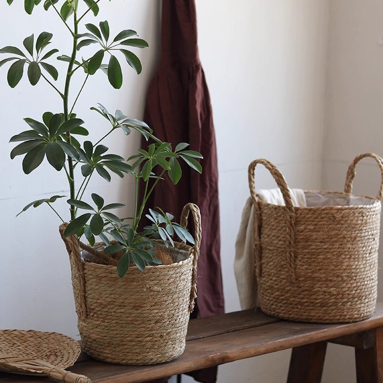 Handwoven Seagrass Basket for Plants - Cheeky Garden
