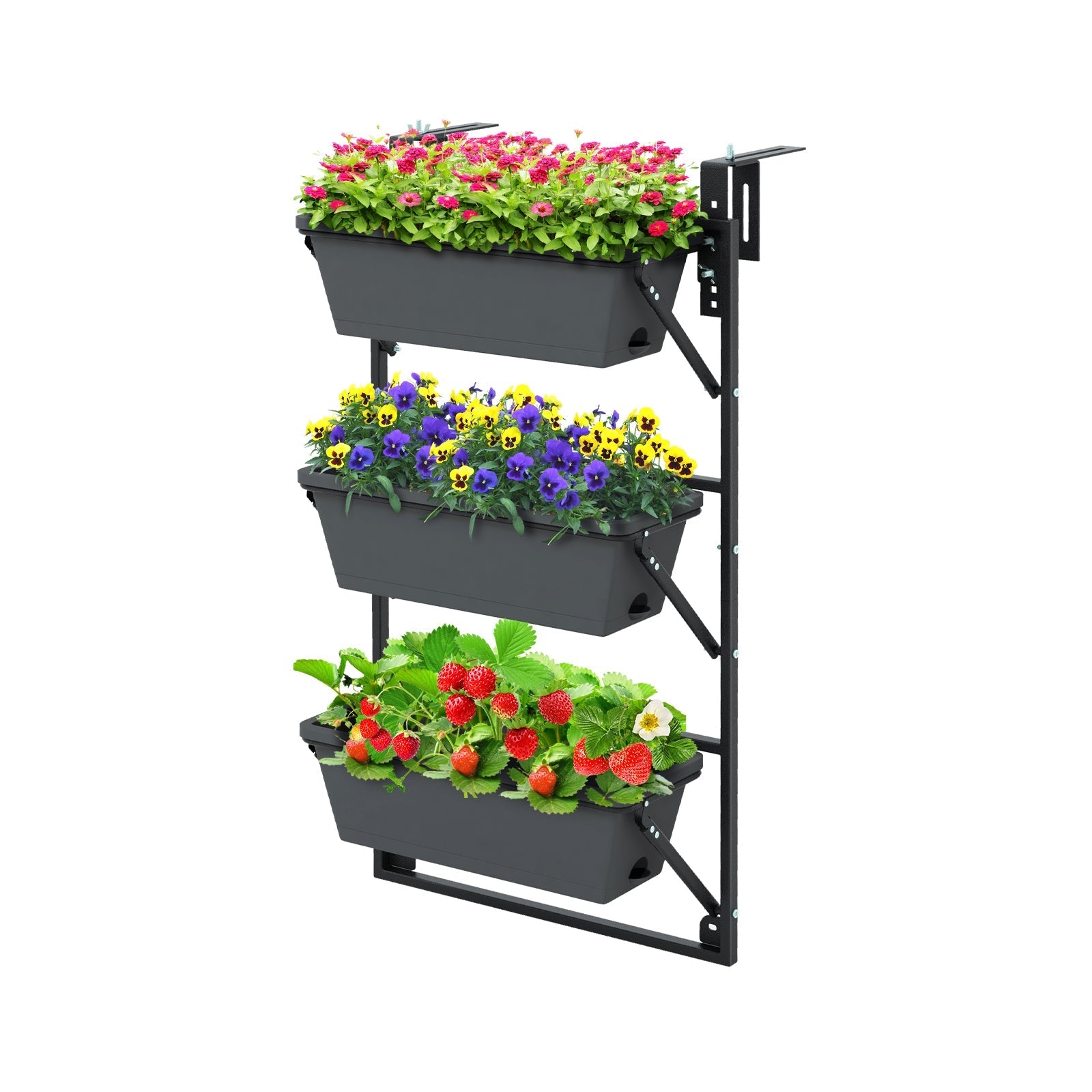Hanging Vertical Planter Wall-mounted Adjustable with Detachable Hooks-Black - Cheeky Garden