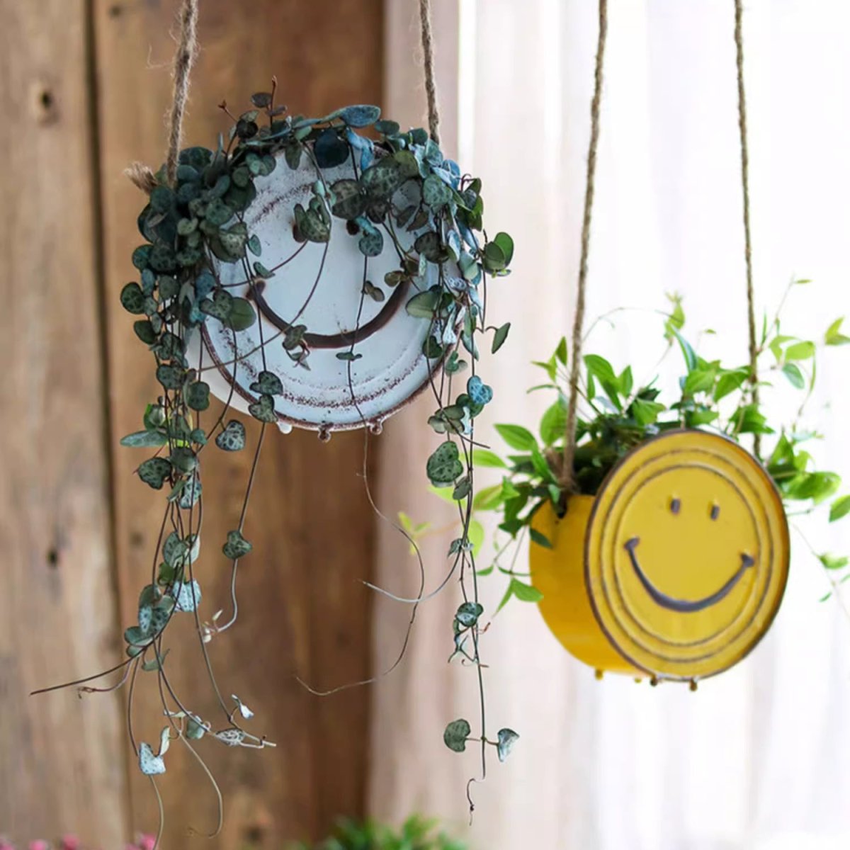 Happy Face Hanging Planter - Cheeky Garden