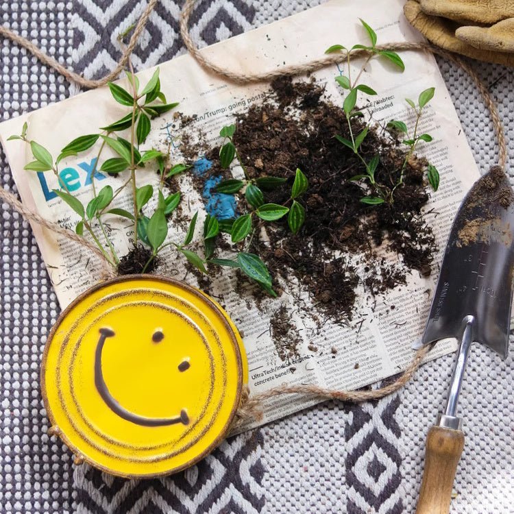 Happy Face Hanging Planter - Cheeky Garden