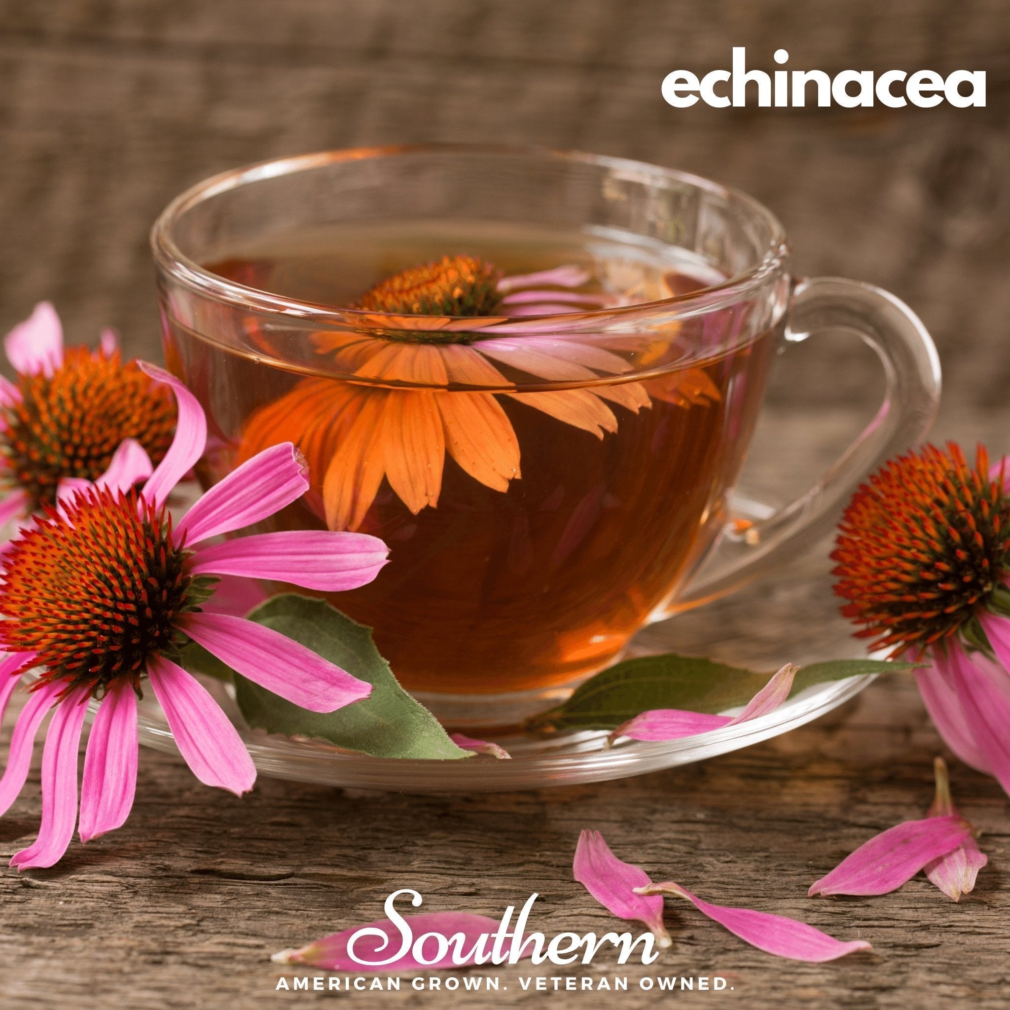 Herbal Tea Seed Collection – 6 Varieties - Cheeky Garden