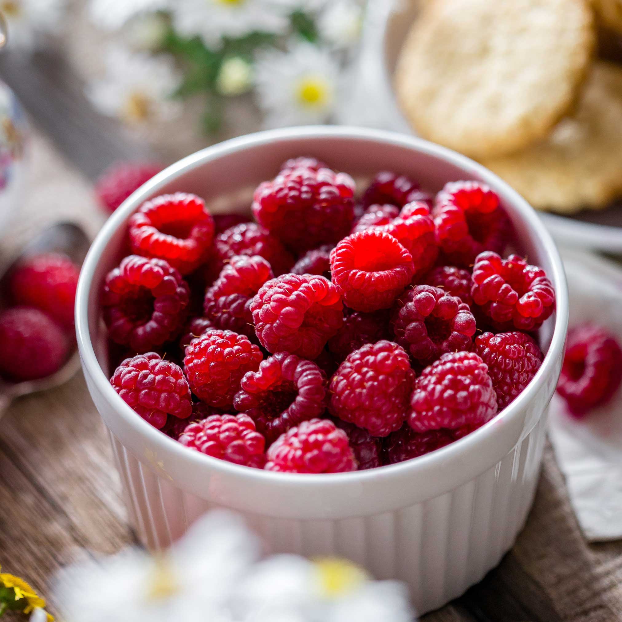 Heritage Raspberry - Cheeky Garden