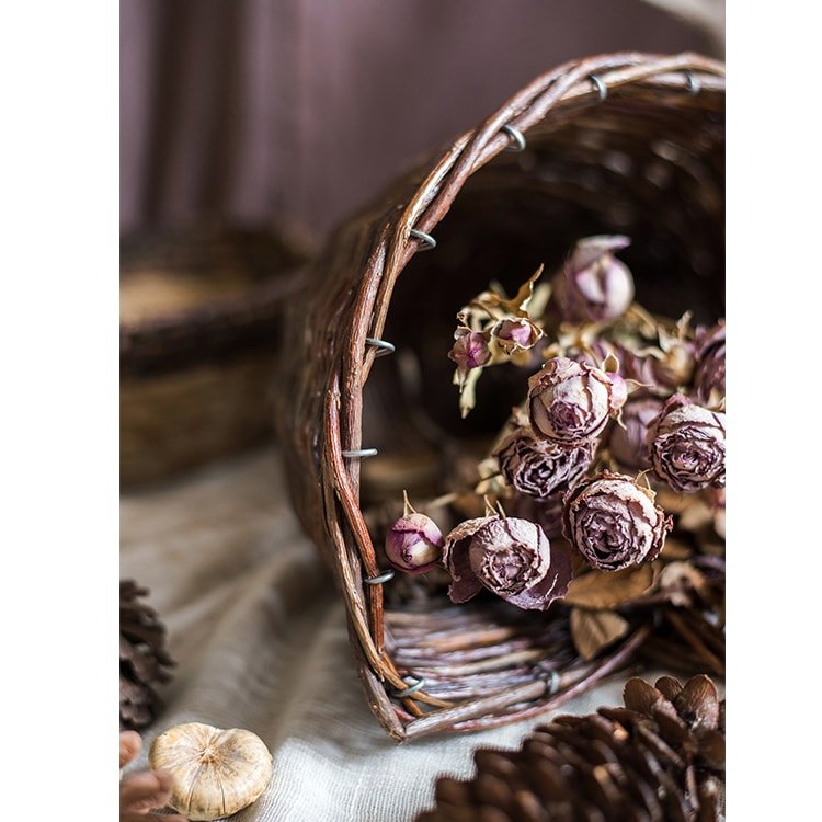 Horn Shape Willow Hanging Basket Planter - Cheeky Garden